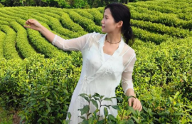 红茶养胃还是伤胃真相居然是这样(探讨红茶对胃的影响究竟如何)