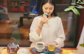 红汤铁观音是什么茶类的(红汤铁观音属于什么茶类)