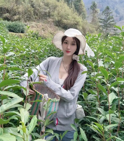茶叶寒性热性一览表(茶叶性温性寒分类指南)