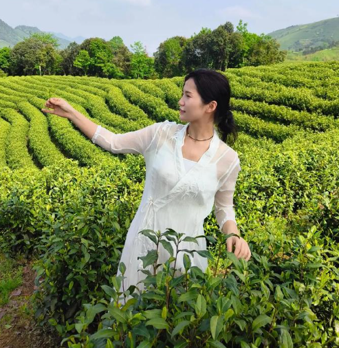 红茶养胃还是伤胃真相居然是这样(探讨红茶对胃的影响究竟如何)