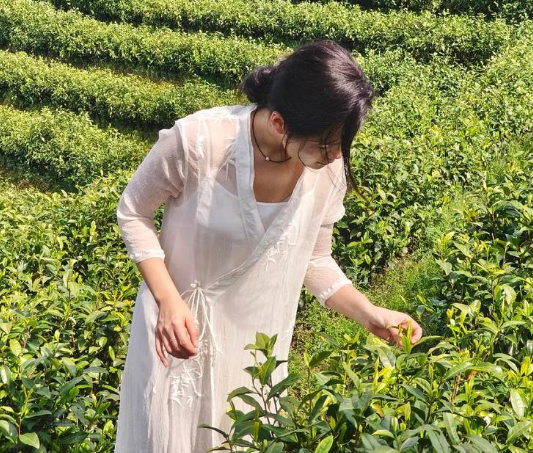 网络上绿茶什么意思啊(网络用语绿茶的含义解析)
