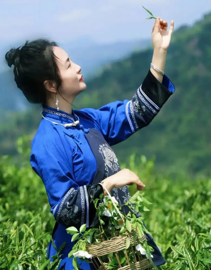 红茶的作用与功效与作用及禁忌症(红茶的功效与禁忌分析)