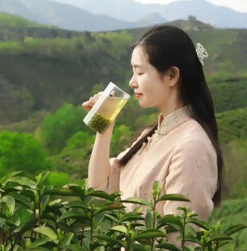 铁观音图片100张(铁观音美图荟萃)