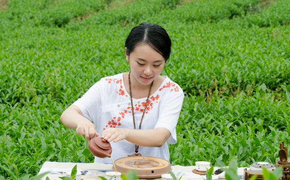 红茶的功效与作用百科(红茶的健康益处与作用分析)