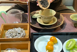 铁观音图片100张(铁观音美图荟萃)