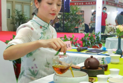 绿茶的保质期一般多久(绿茶的最佳食用期限是多久)