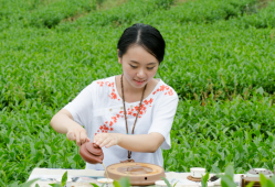 红茶的功效与作用百科(红茶的健康益处与作用分析)