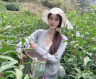 绿茶的作用与功效(绿茶的健康益处与功用)