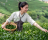 红茶上火还是降火最快(红茶是上火还是降火选择指南)