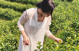 网络上绿茶什么意思啊(网络用语绿茶的含义解析)